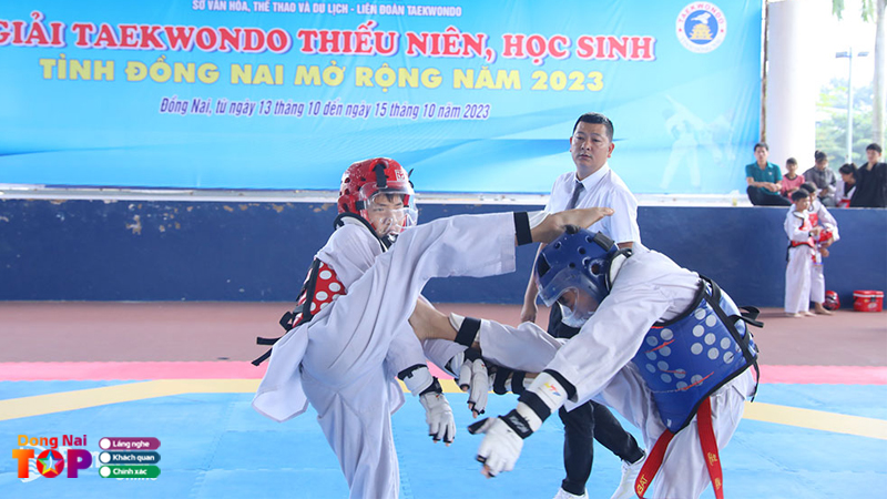 Top-5-vo-duong-taekwondo-dong-nai-chuyen-nghiep