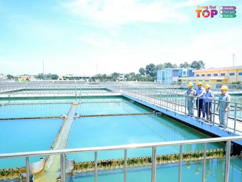 Cong-ty-co-phan-cap-nuoc-dong-nai-dongnaitoplist-2